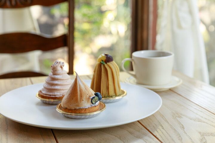 【ZIP!で紹介】暑い夏でも楽しめる、 絶景スポットと寄り道グルメ