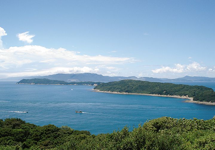 桜も満開！春の紀伊国で桜鯛＆ご当地麺｜多聞恵美ルポ／和歌山県・和歌山市