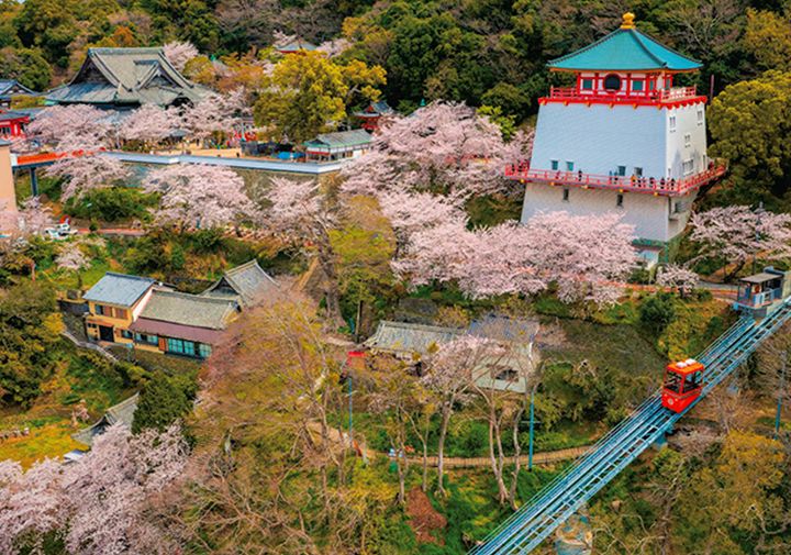桜も満開！春の紀伊国で桜鯛＆ご当地麺｜多聞恵美ルポ／和歌山県・和歌山市