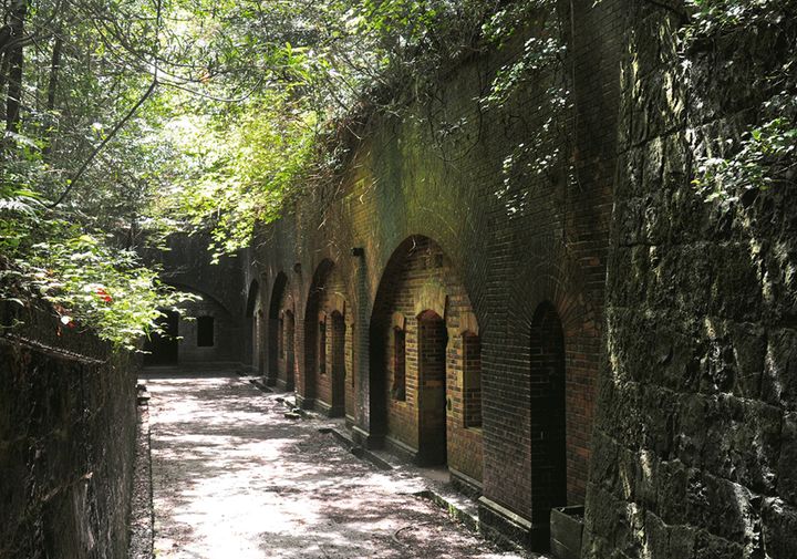 桜も満開！春の紀伊国で桜鯛＆ご当地麺｜多聞恵美ルポ／和歌山県・和歌山市