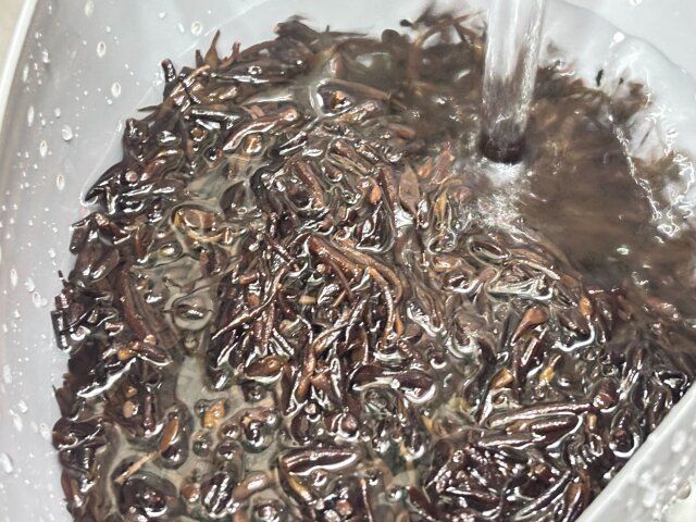 セリアの耐熱温度が高い絞れるシリコーンザル