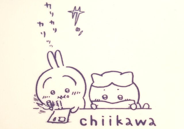 はちわれとうさぎプリント