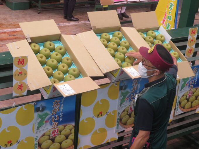 初競りの千葉県産梨