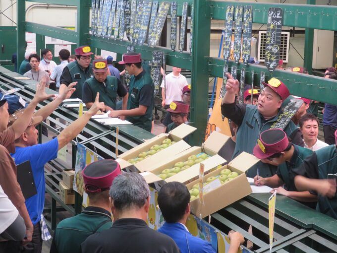 千葉県産梨「幸水」 初競りの様子