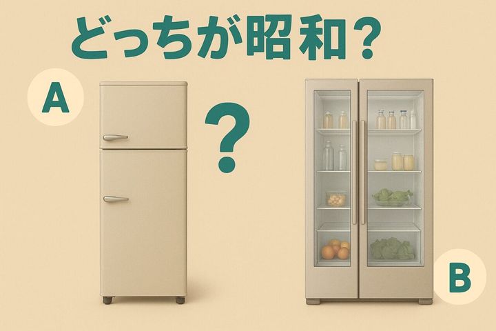 quiz-refrigerator.