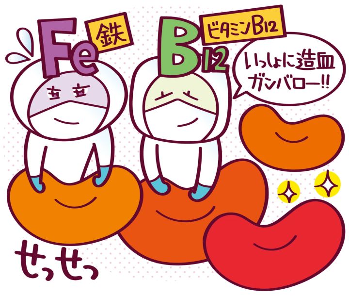 今日からできる鉄分摂取のススメ ビタミンB12 鉄分 めぐりをサポート