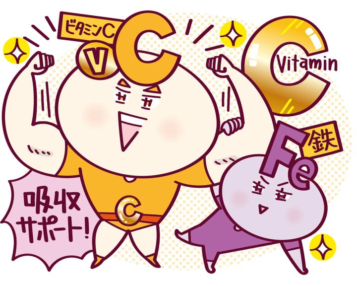 今日からできる鉄分摂取のススメ ビタミンC 鉄分 吸収サポート