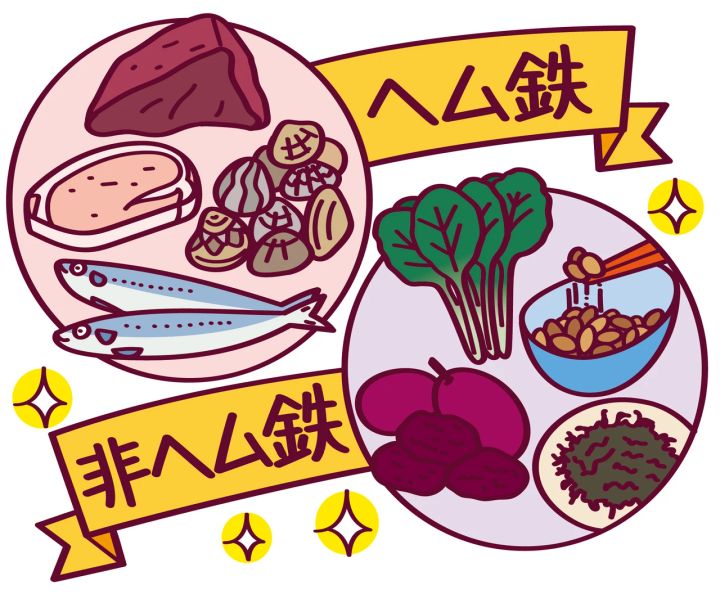 今日からできる鉄分摂取のススメ 非ヘム鉄 ヘム鉄