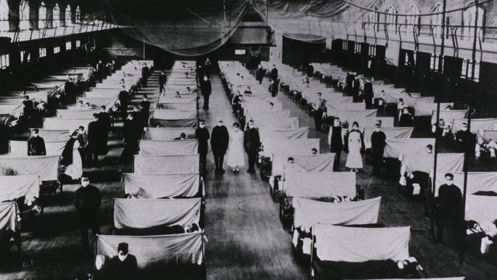 100年越しのRNA抽出—研究者が挑んだ困難な挑戦