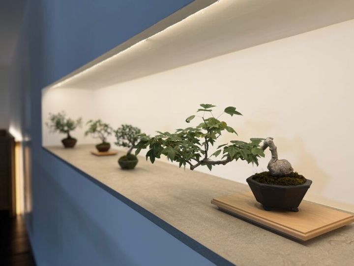 翠門亭_塩津植物研究所04