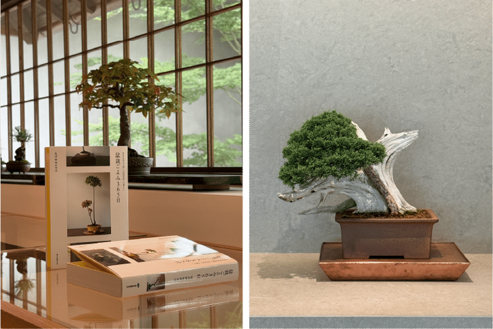 翠門亭_塩津植物研究所13