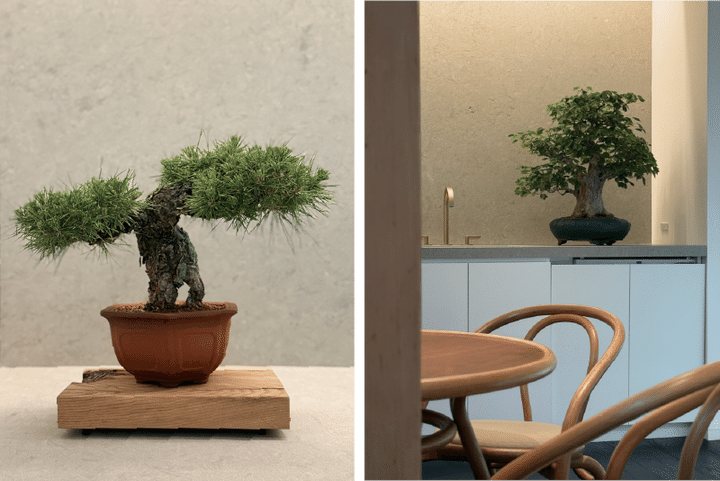 翠門亭_塩津植物研究所08