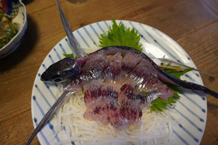 姿造りを目指して作ったトビウオの刺し盛。元気の良さだけは伝わってきます…