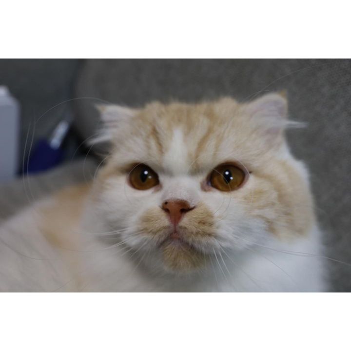 「ようやく家に帰る意味ができた」ティモンディ前田裕太さんと、ノエルさんとリオンさん