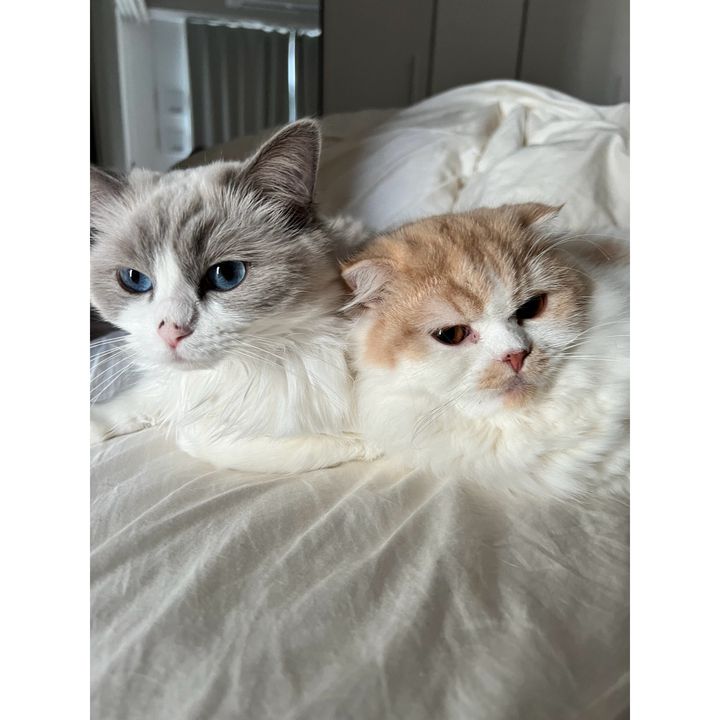 「ようやく家に帰る意味ができた」ティモンディ前田裕太さんと、ノエルさんとリオンさん