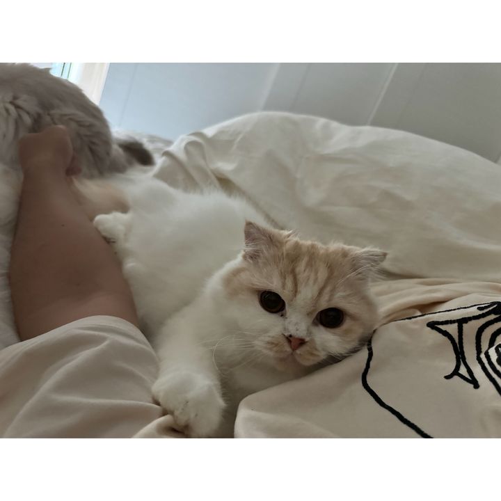 「ようやく家に帰る意味ができた」ティモンディ前田裕太さんと、ノエルさんとリオンさん