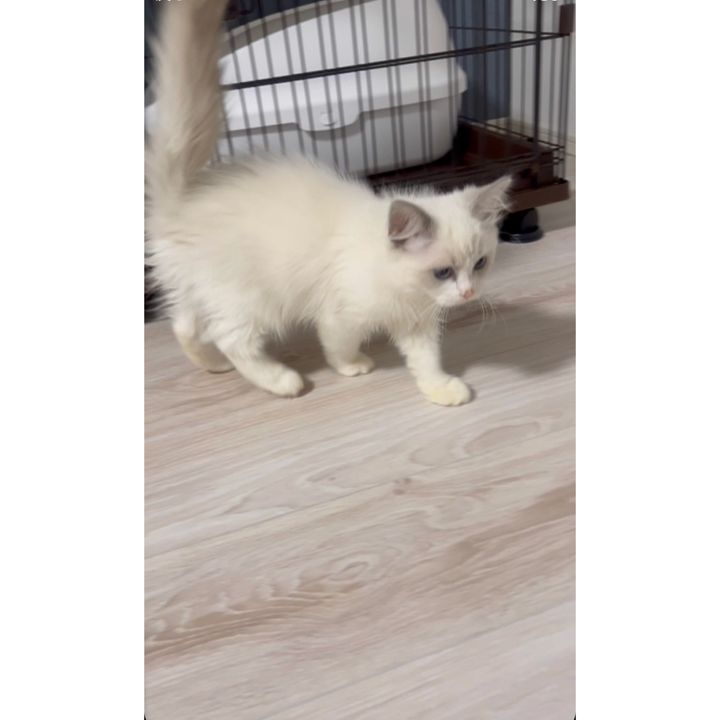 「ようやく家に帰る意味ができた」ティモンディ前田裕太さんと、ノエルさんとリオンさん