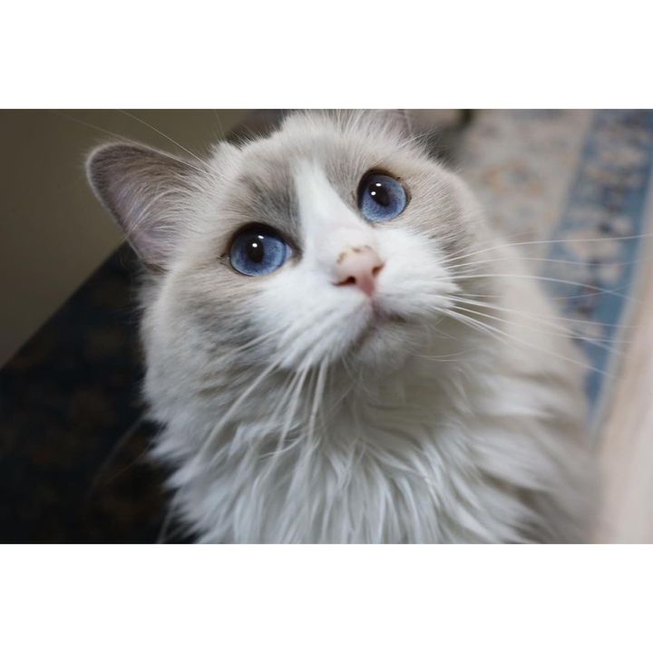 「ようやく家に帰る意味ができた」ティモンディ前田裕太さんと、ノエルさんとリオンさん