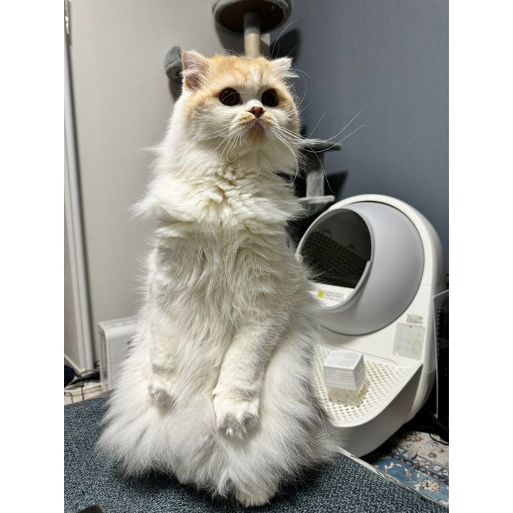 「ようやく家に帰る意味ができた」ティモンディ前田裕太さんと、ノエルさんとリオンさん