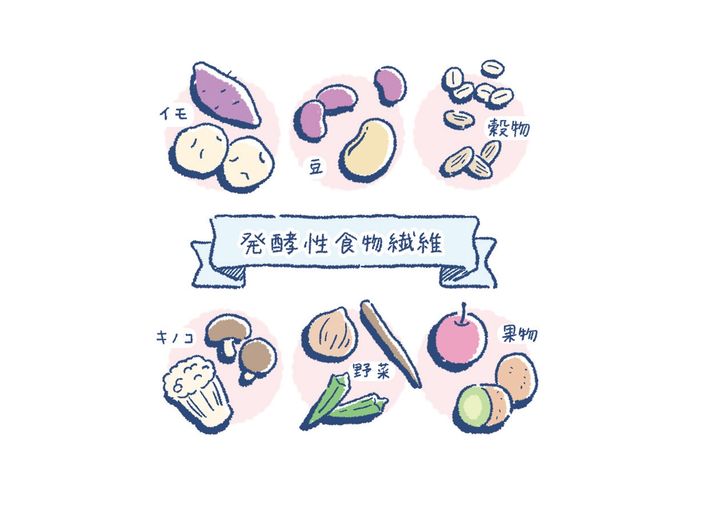腸内で発酵する食物繊維、その名も「発酵性食物繊維」が、いま熱い注目を集めている。