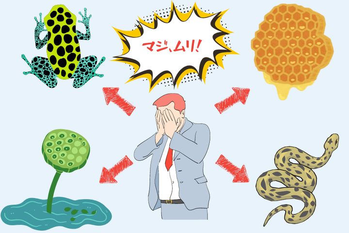 「危険動物」と「皮膚病」を避けるため？