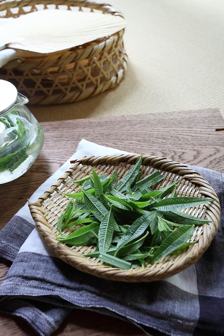 レモンバーベナ