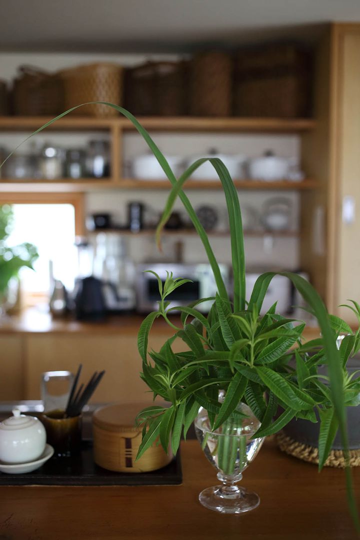 レモンバーベナ