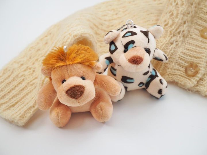 画像2: 出典：ftn_pics