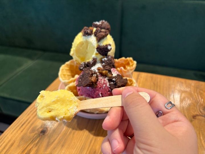 ダウントゥプラント プラントベース アイスクリーム