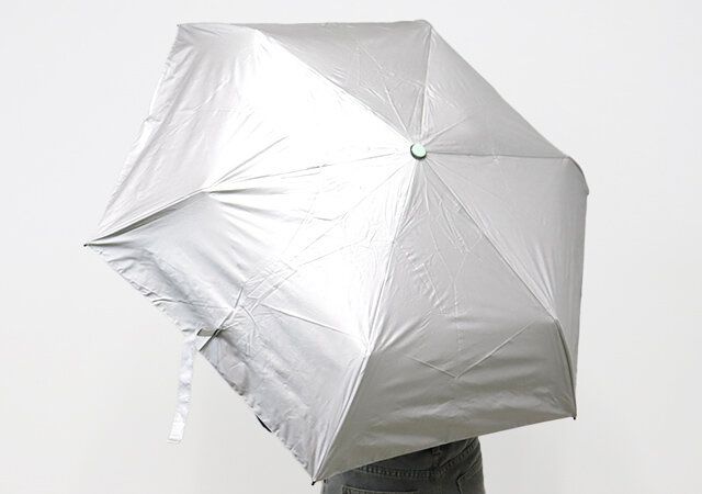 折りたたみ傘を持ったところ