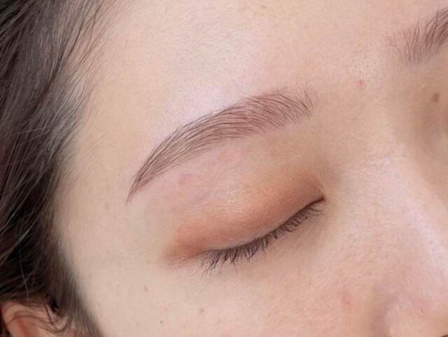 眉山をしっかり作りすぎている