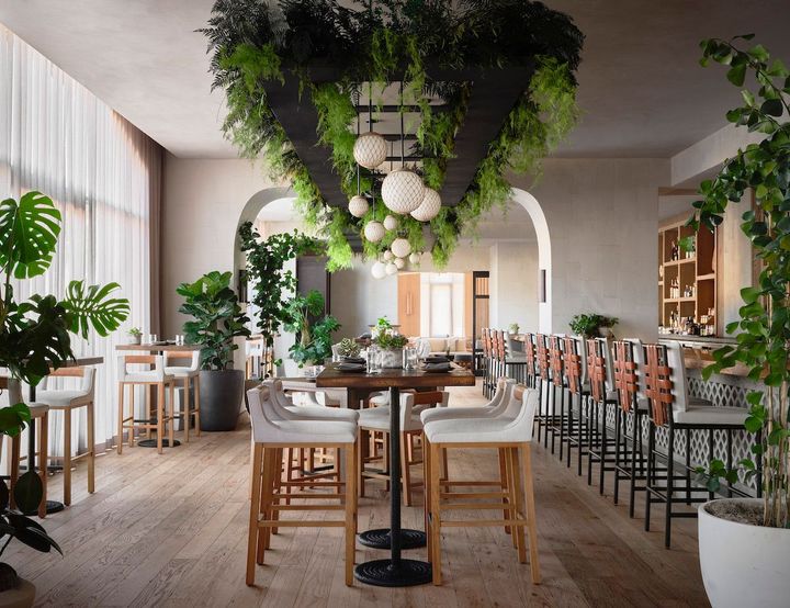 新鮮でオーガニック、持続可能な素材を使うレストラン「テレーヌ」。ワインもナパ・グリーン認証をセレクト。