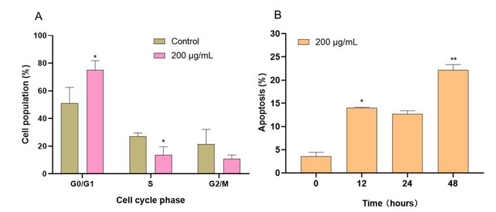 乳酸菌と植物エキスの融合が膵臓がん細胞を殺す