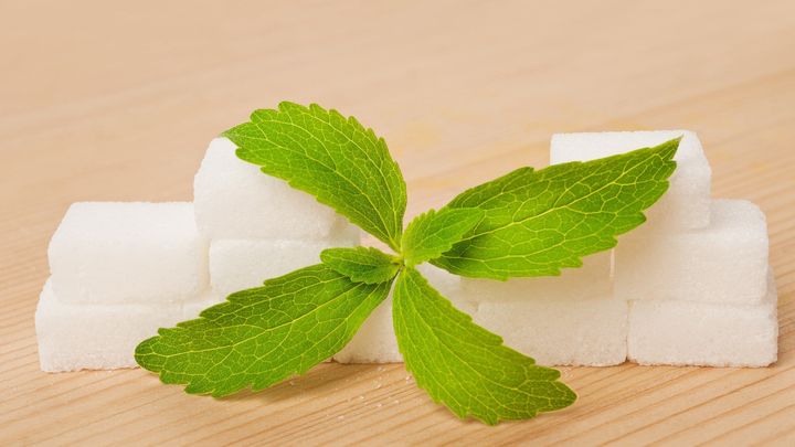 膵臓がん、治療困難の原因と植物由来の新しい可能性