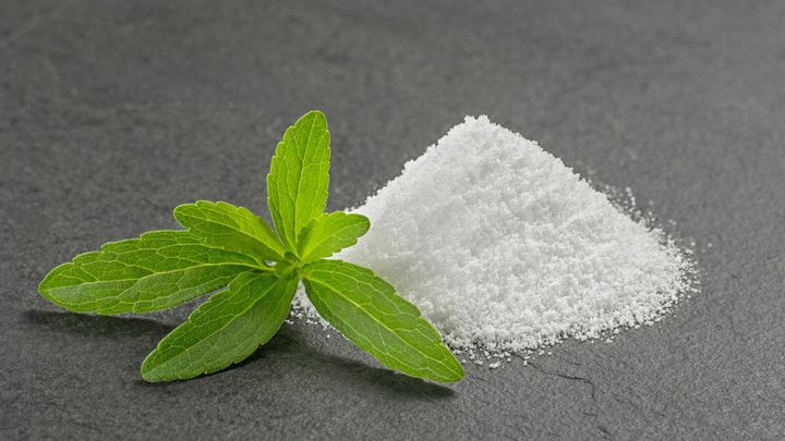 乳酸菌で目覚めたステビア葉エキスの「がん細胞を殺す力」