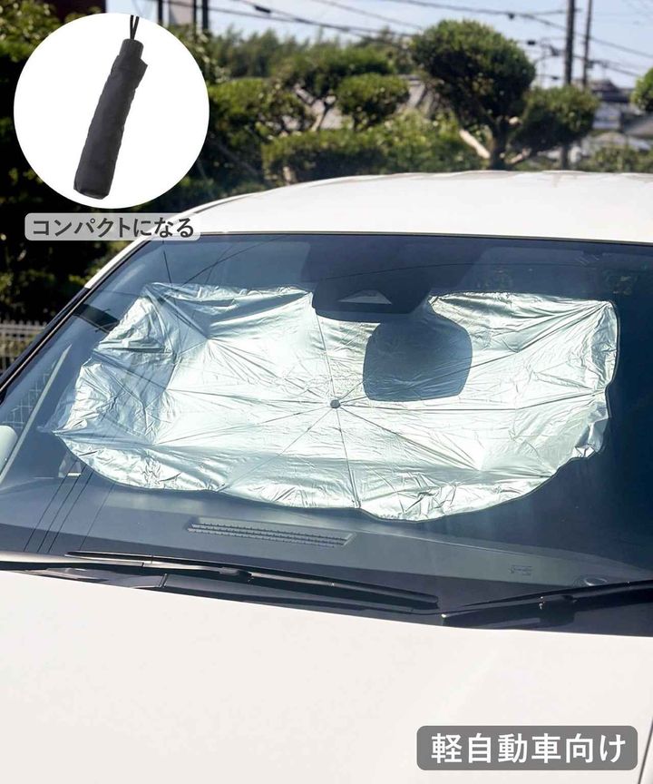 画像2: 出典：3COINS