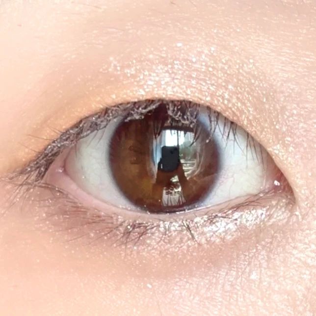 suqqu アイシャドウ イエベ