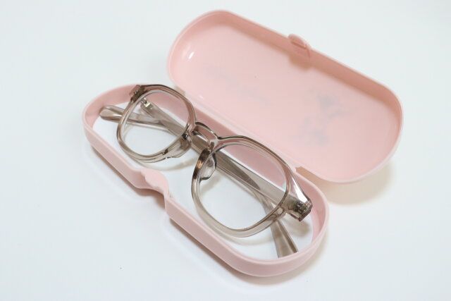 ダイソーのメガネを入れたマルチケース（ミッキー／ミニー）