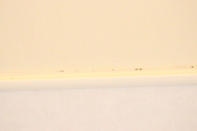 ダイソーの乳酸カビ取りスプレー（落ち落ちV）を使う前のカビ