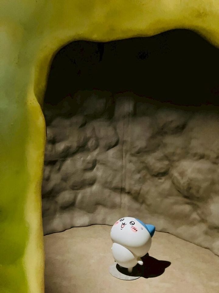 穴に落ちたハチワレ