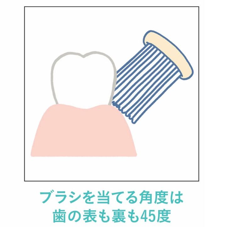 歯にブラシを当てる正しい角度