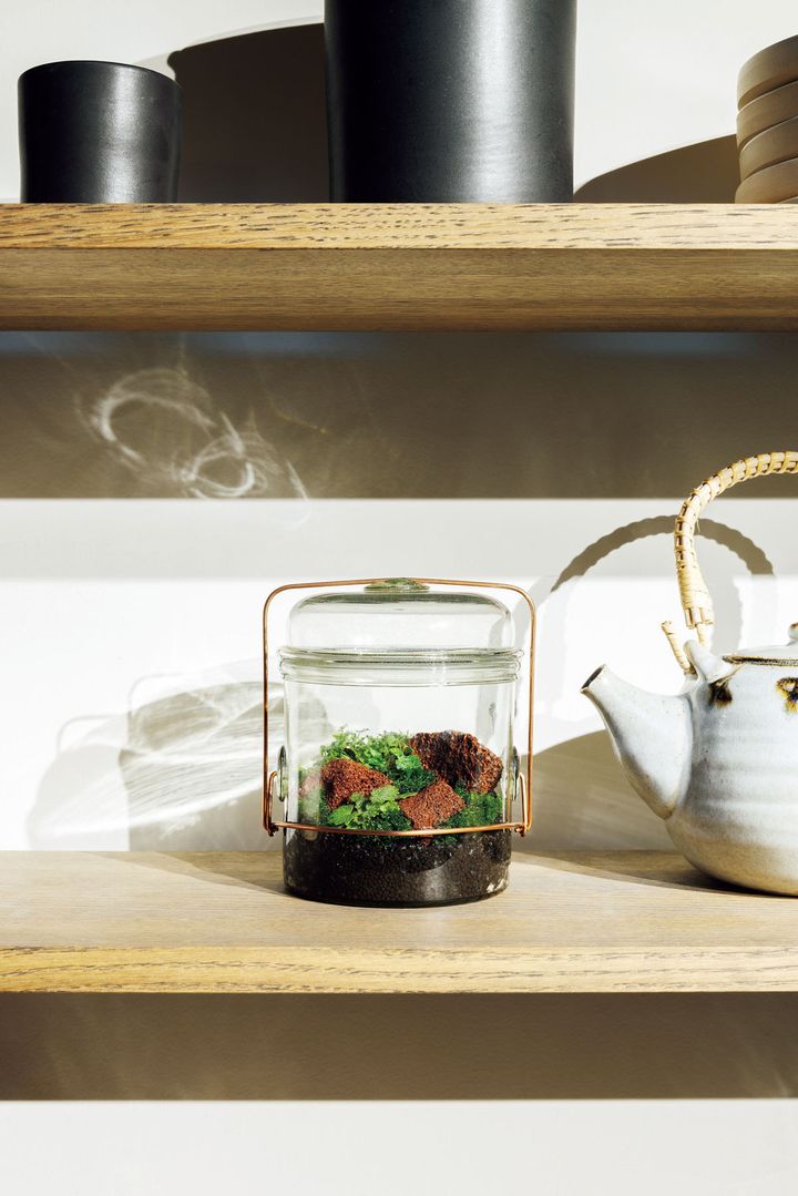 作家もののガラスジャーで山野草を飾る
