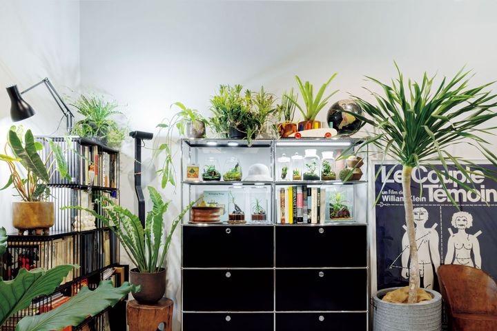 耐荷重の大きい〈USMハラー〉のシステム棚を使って、植物をセンスよくディスプレイ