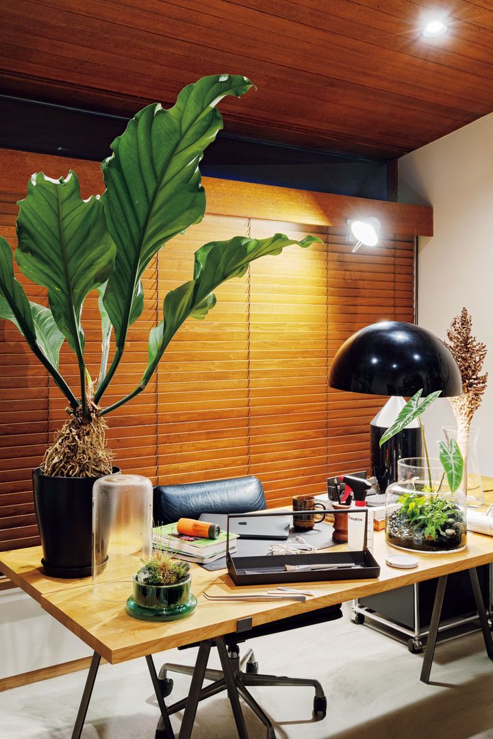 手入れも楽しい、植物のある書斎を作る