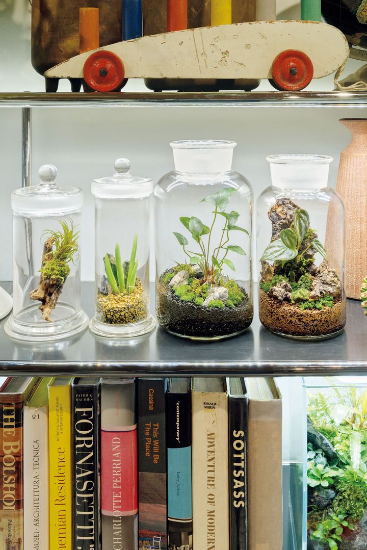 理化学容器でひと味違うパルダリウムを