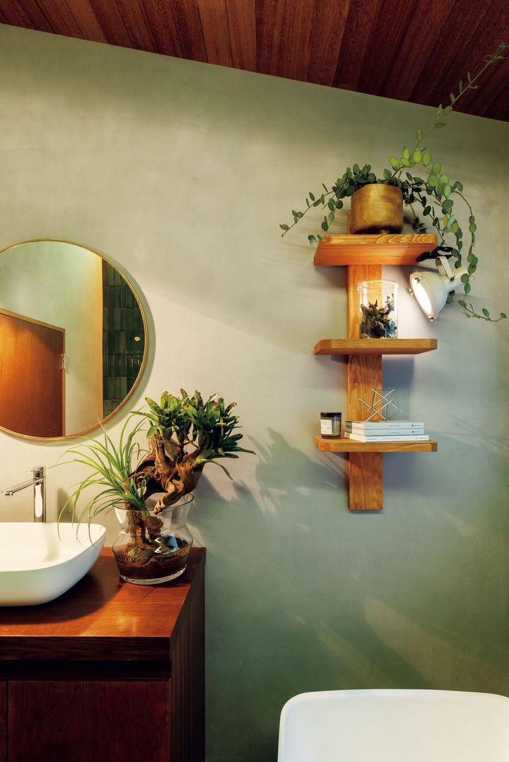 湿気のある洗面室にパルダリウムは最適