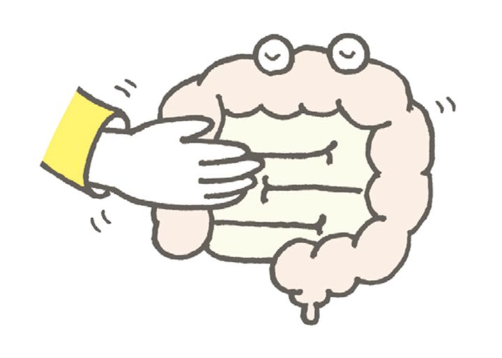 ホントその3：腸を“休ませる”ことも時には必要