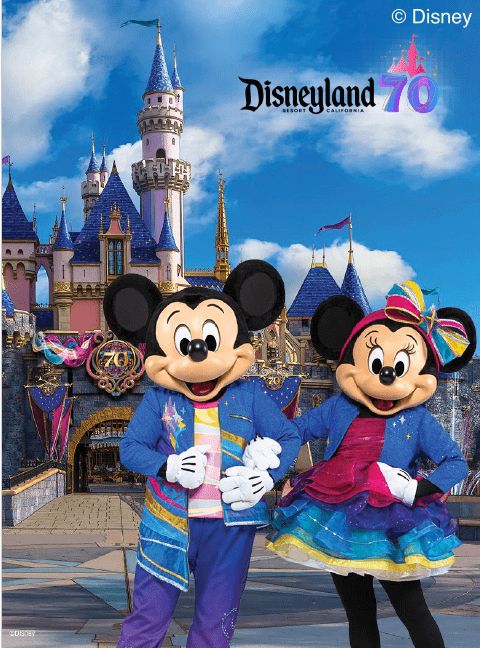 カリフォルニア ディズニーランド・リゾート１デー・パークホッパー・チケッ