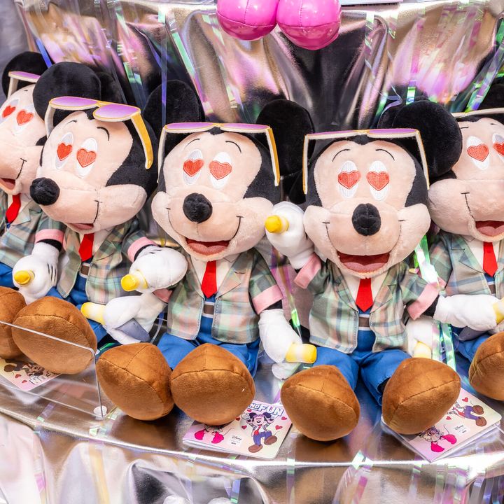 ＜Disney SERIES CREATED by MUS＞IDOL FUN PLUSH / MICKEY