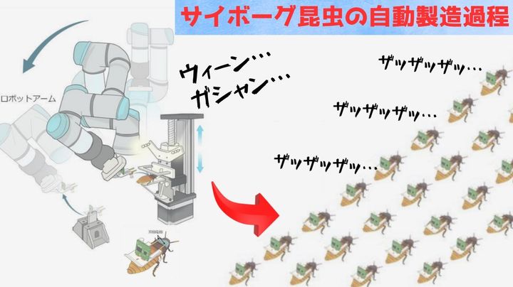 サイボーグ昆虫は量産されることでその真価を発揮します
